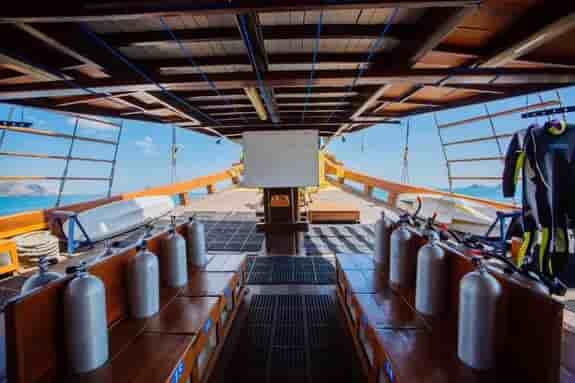 Thumbnail 1 Thumbnail 1