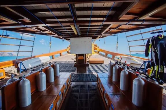 Sea Safari VII Liveaboard - image Sea Safari VII Liveaboard - image