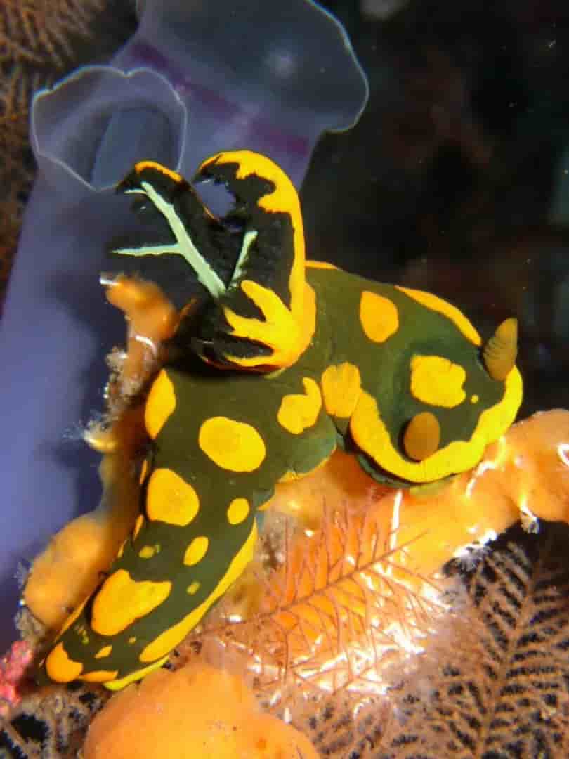 Thumbnail 6 Thumbnail 6