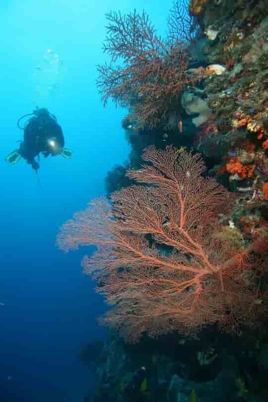 Thumbnail 7 Thumbnail 7