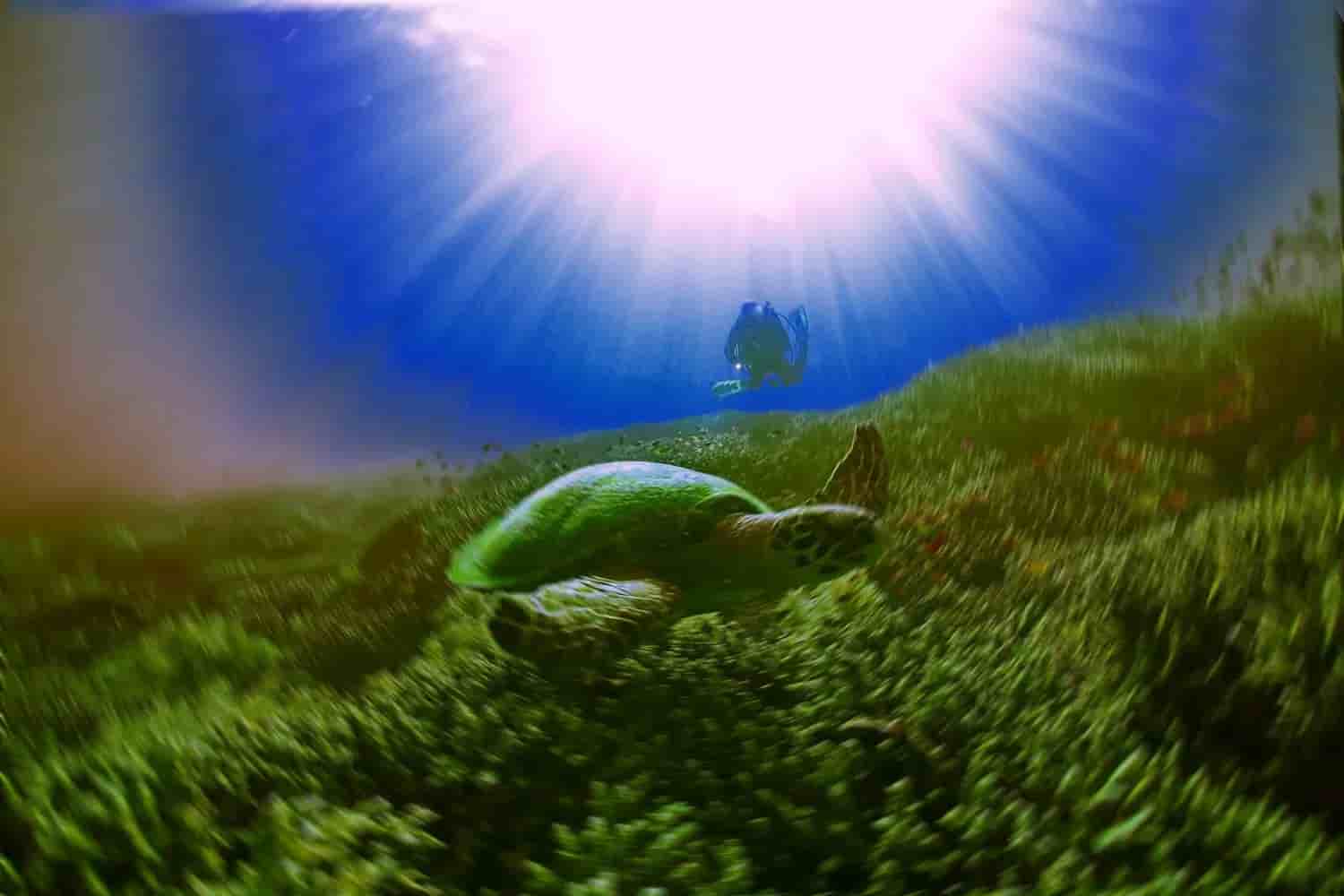 Thumbnail 8 Thumbnail 8