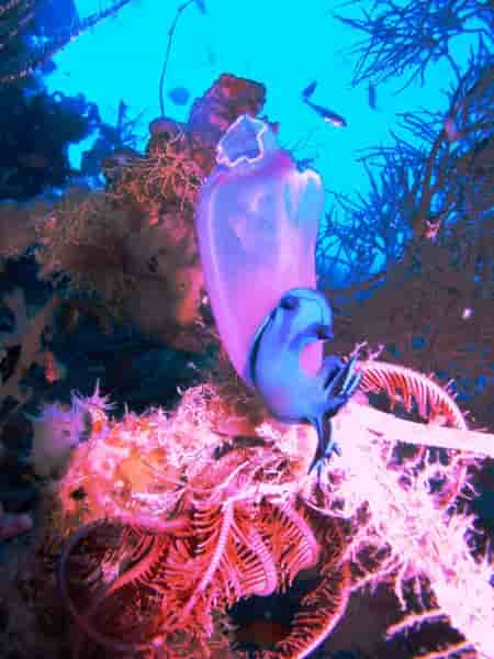 Thumbnail 9 Thumbnail 9