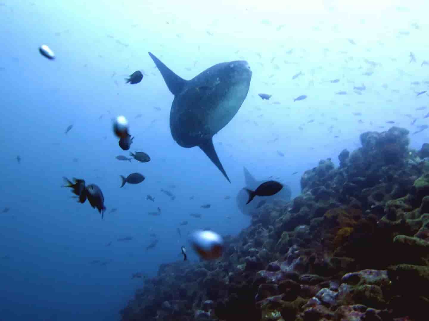 Thumbnail 3 Thumbnail 3