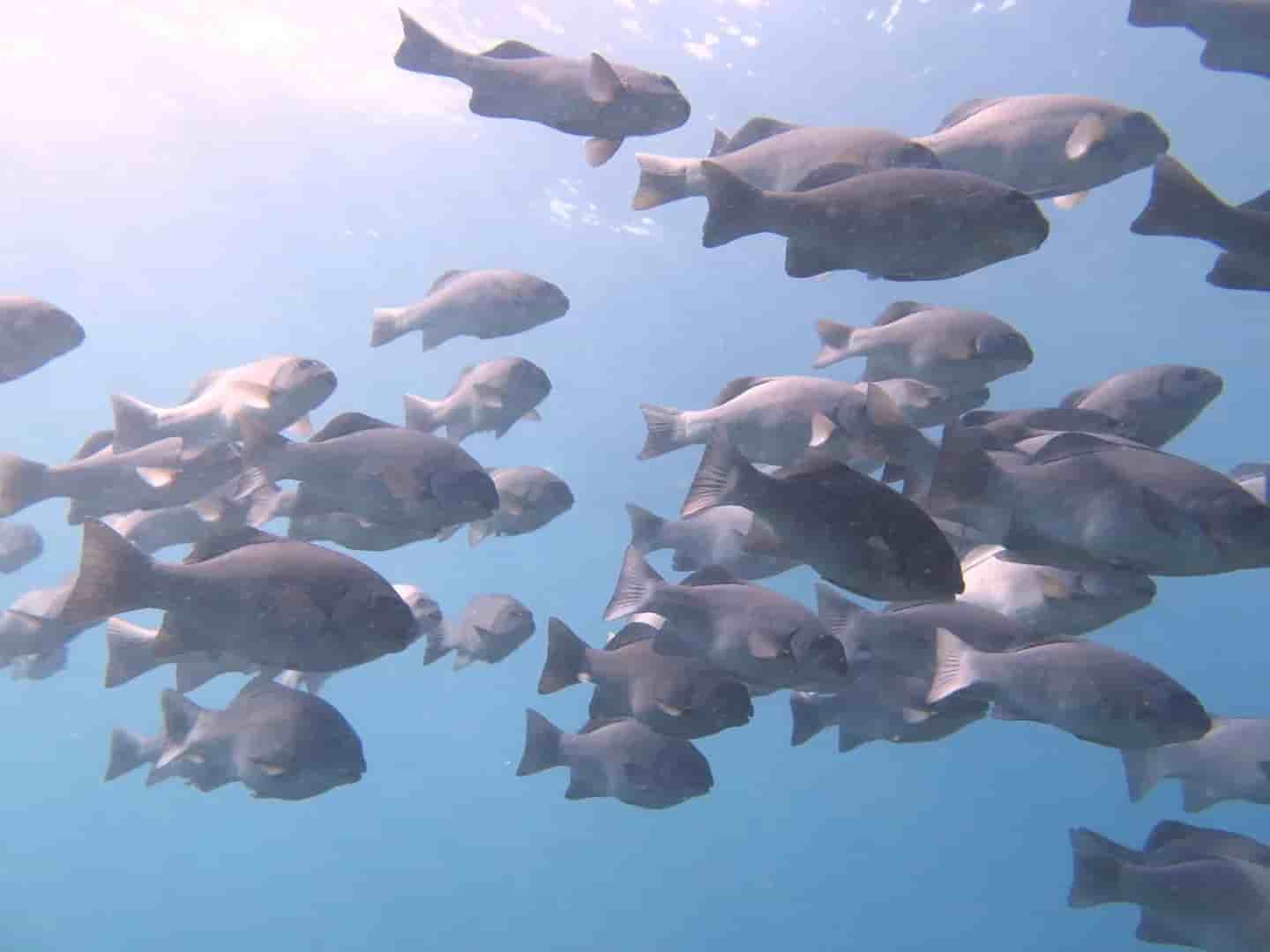 Thumbnail 4 Thumbnail 4