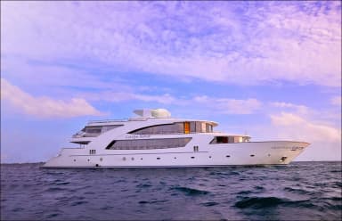 Carpe Novo Carpe Novo