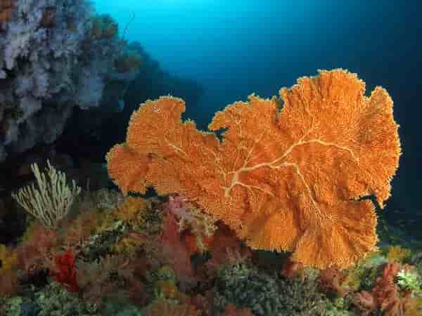 Thumbnail 3 Thumbnail 3