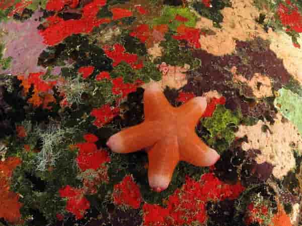 Thumbnail 7 Thumbnail 7