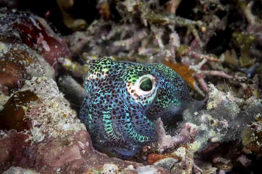 Thumbnail 3 Thumbnail 3