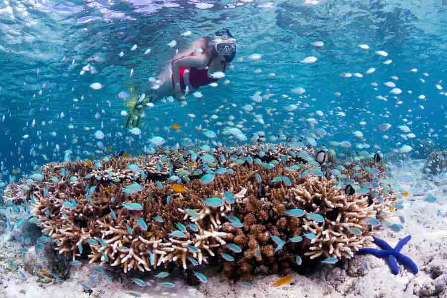 Thumbnail 8 Thumbnail 8