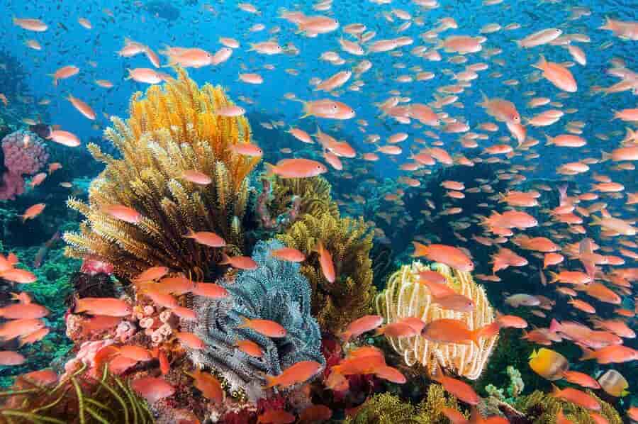 Thumbnail 9 Thumbnail 9