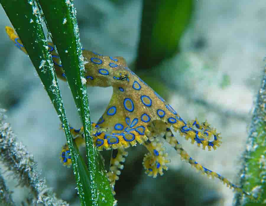 Thumbnail 11 Thumbnail 11