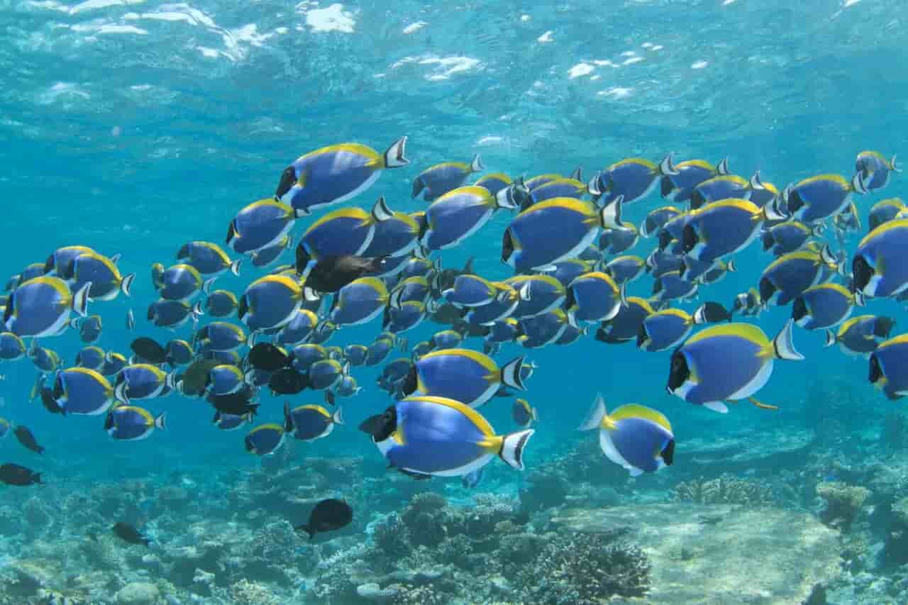 Thumbnail 1 Thumbnail 1