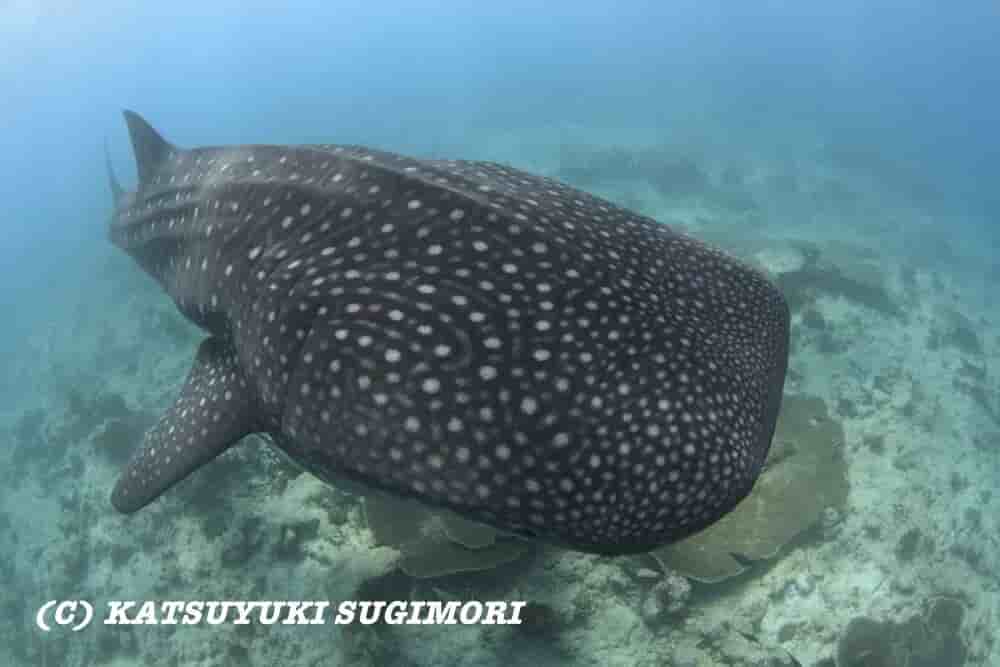 Thumbnail 5 Thumbnail 5