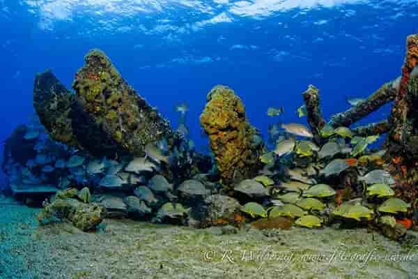 Thumbnail 3 Thumbnail 3