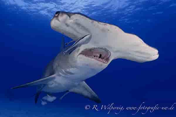 Thumbnail 4 Thumbnail 4