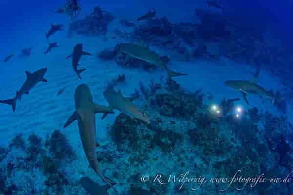 Thumbnail 5 Thumbnail 5