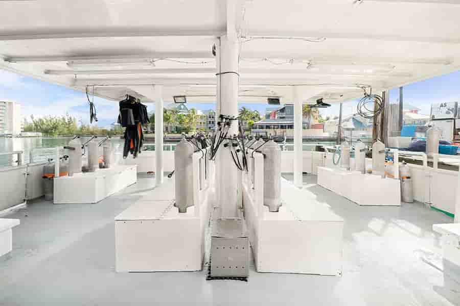 Thumbnail 10 Thumbnail 10