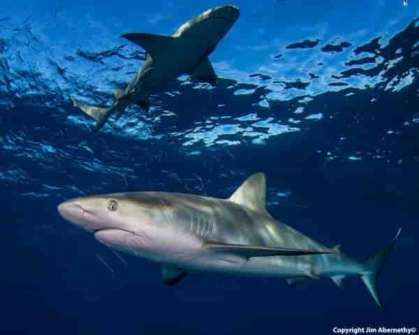 Thumbnail 6 Thumbnail 6