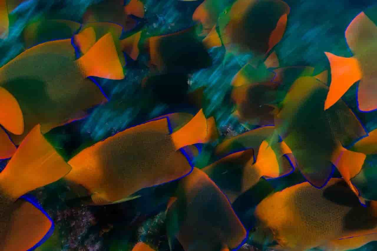 Thumbnail 2 Thumbnail 2