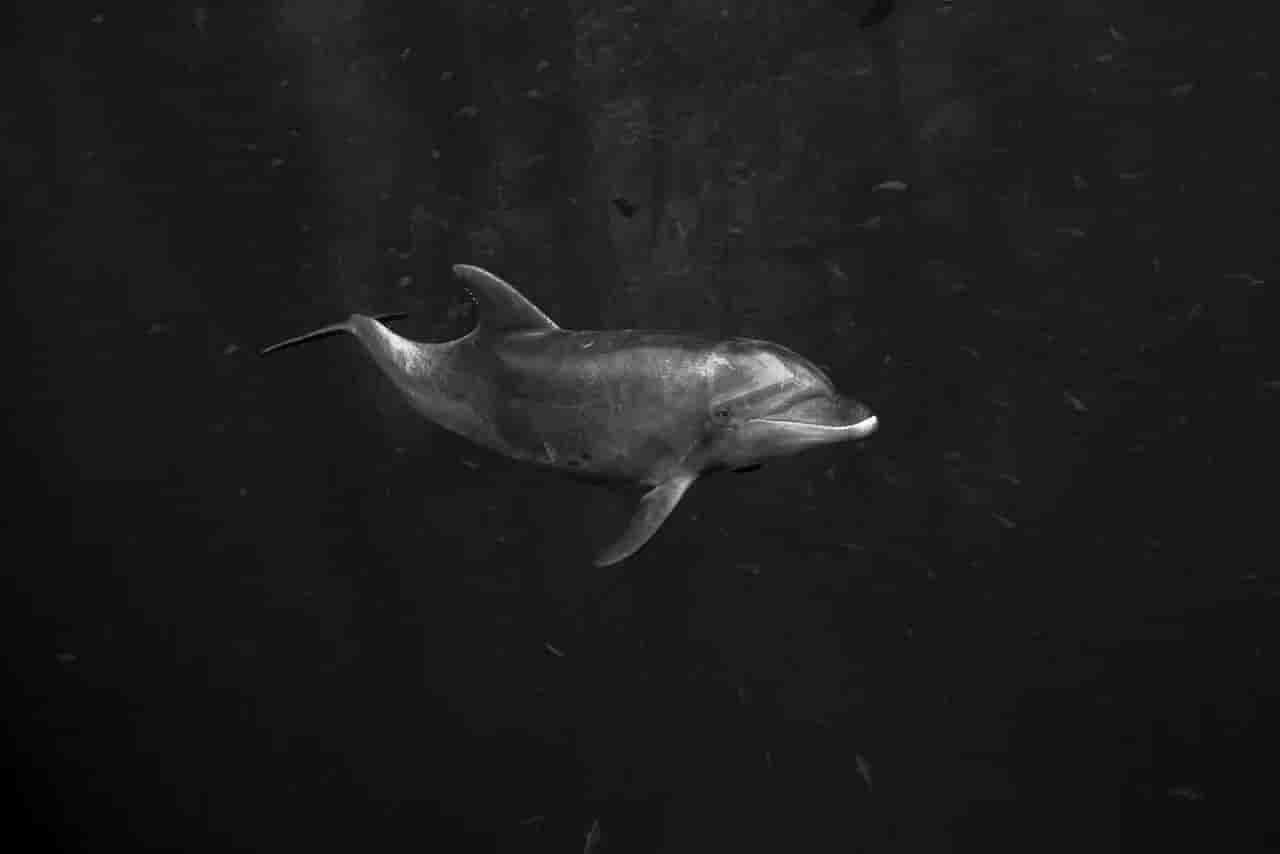 Thumbnail 7 Thumbnail 7