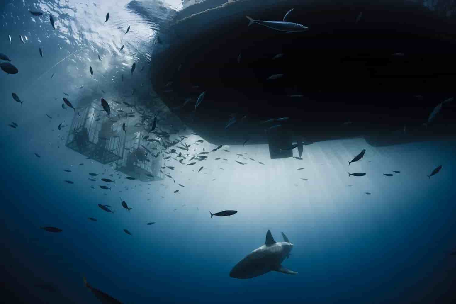 Thumbnail 9 Thumbnail 9