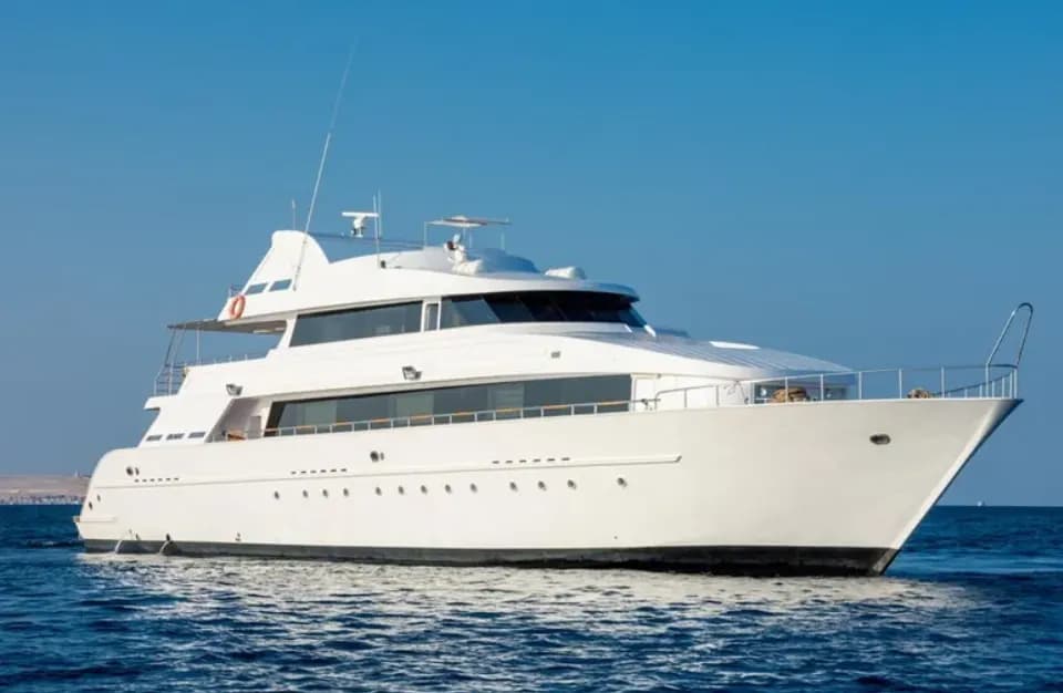 Lucy - image Lucy - image