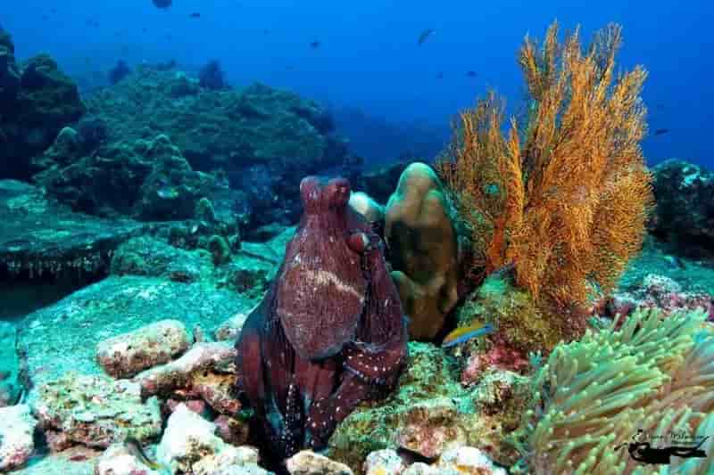 Thumbnail 3 Thumbnail 3