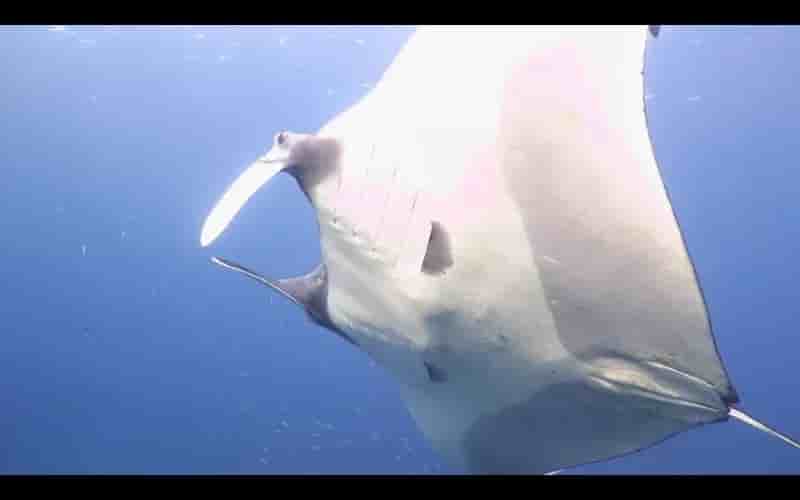 Thumbnail 4 Thumbnail 4