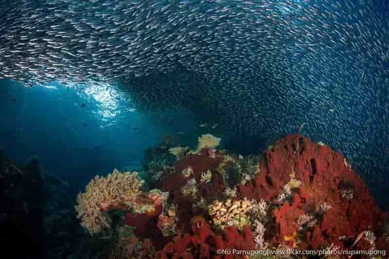 Thumbnail 8 Thumbnail 8