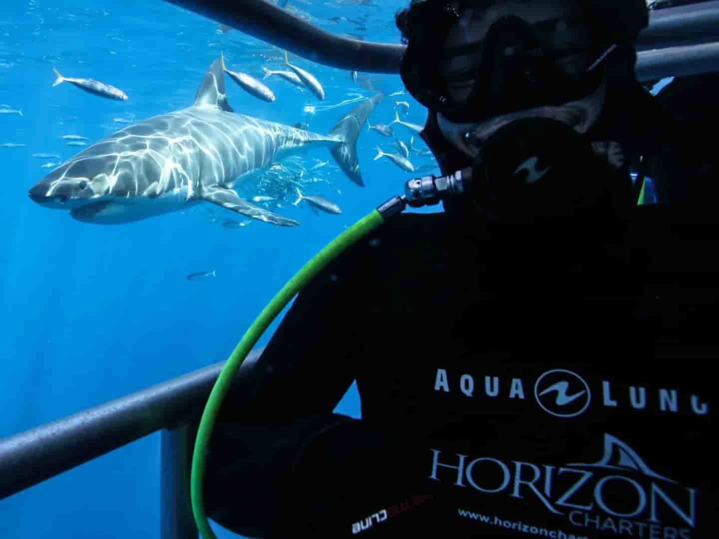 Thumbnail 2 Thumbnail 2