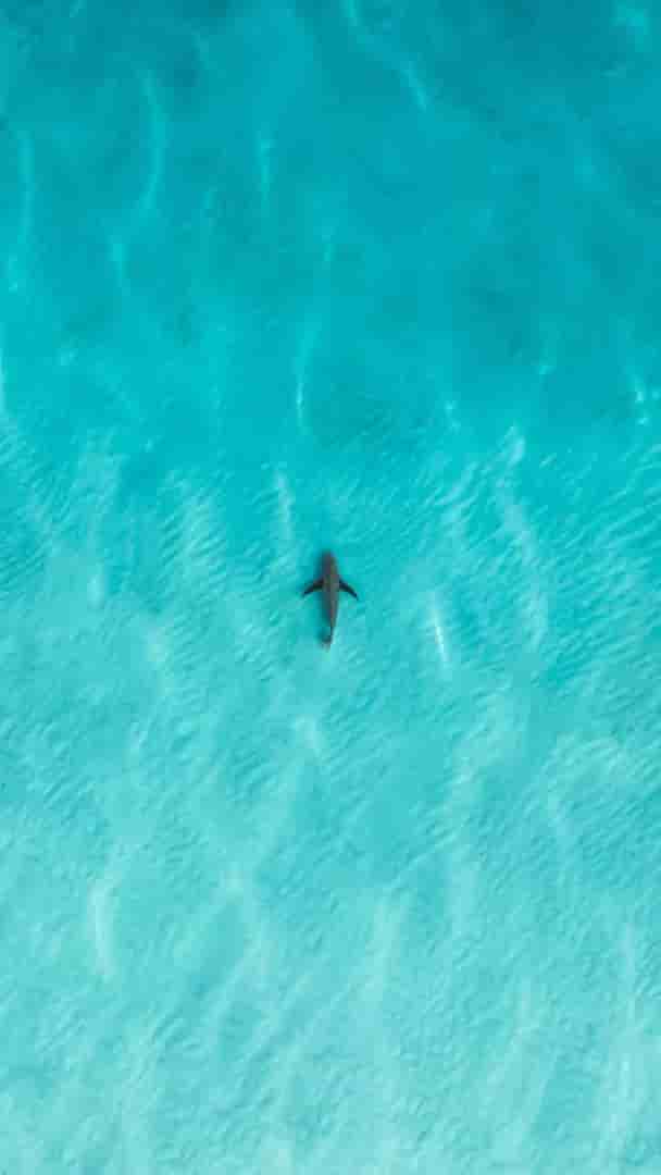 Thumbnail 28 Thumbnail 28