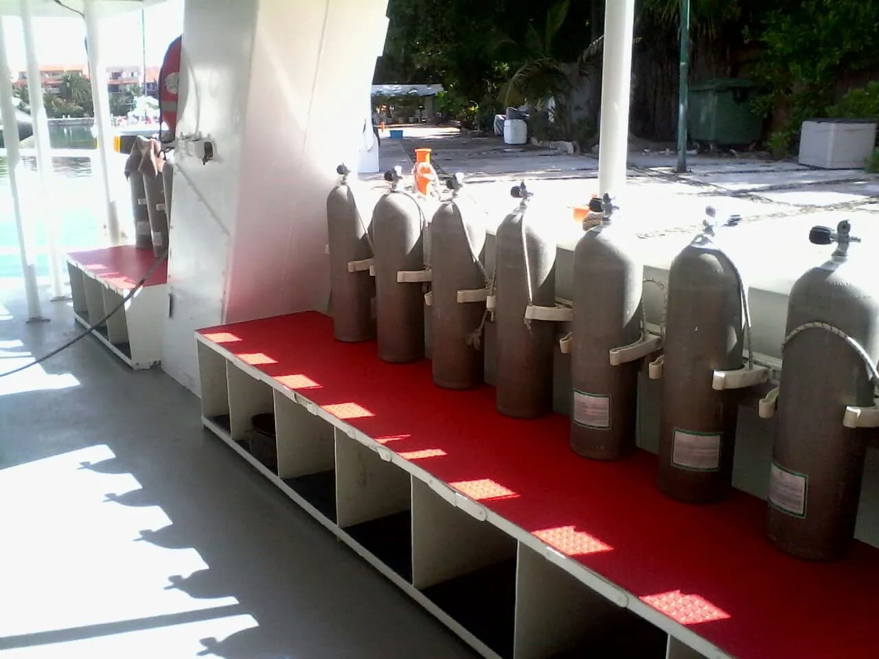 Dive tanks lined up neatly