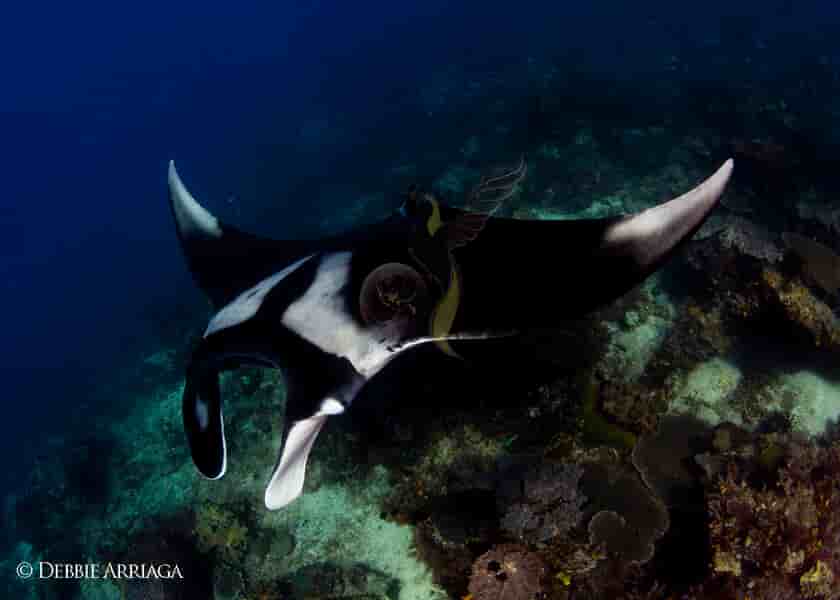 Thumbnail 14 Thumbnail 14