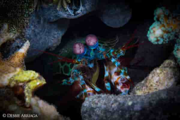 Thumbnail 20 Thumbnail 20