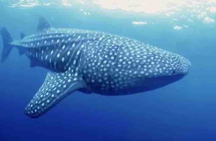 Thumbnail 8 Thumbnail 8