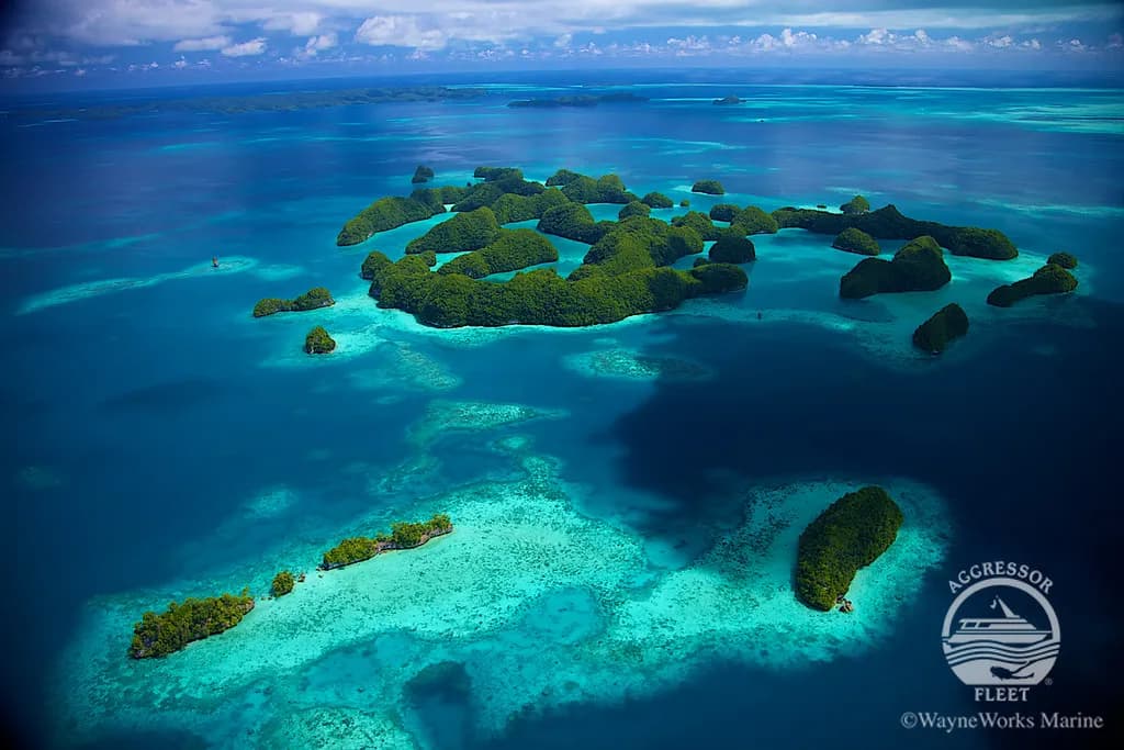 palau diving