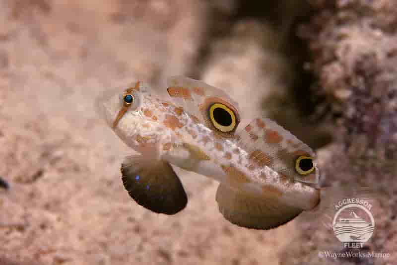 Thumbnail 6 Thumbnail 6