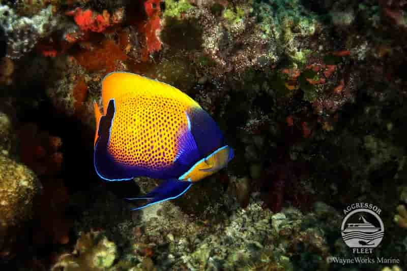 Thumbnail 7 Thumbnail 7