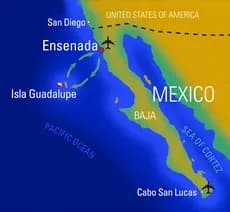 Socorro Aggressor - image Socorro Aggressor - image