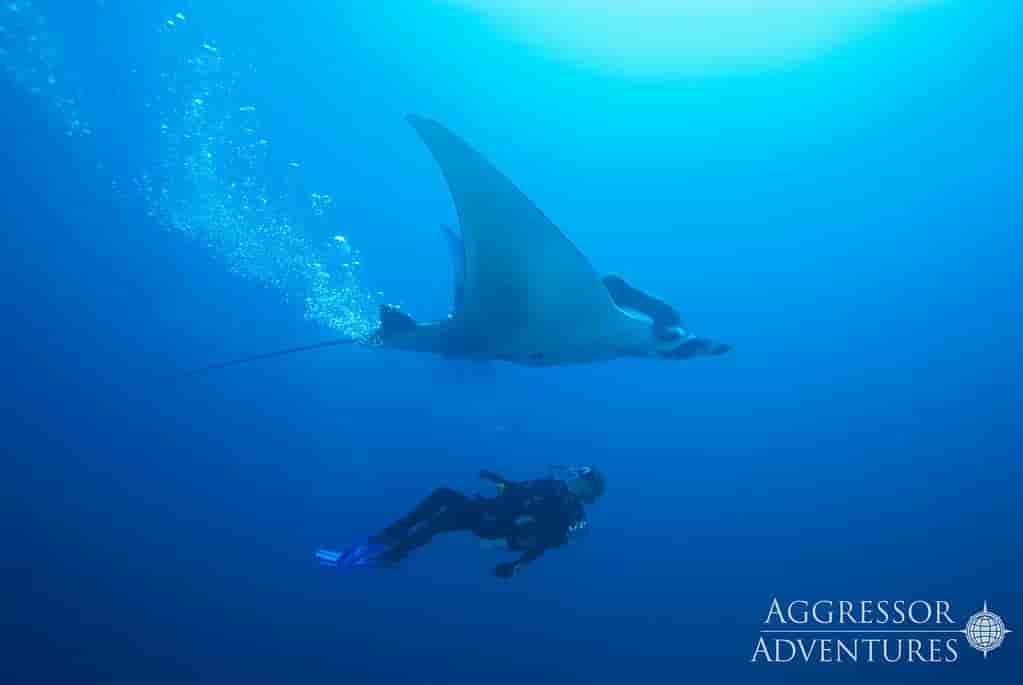 Thumbnail 8 Thumbnail 8