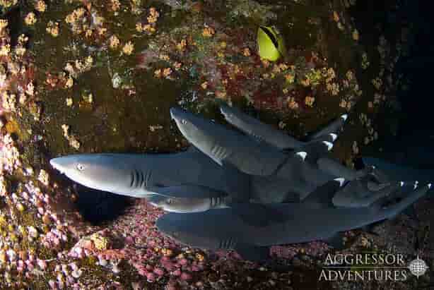 Thumbnail 10 Thumbnail 10