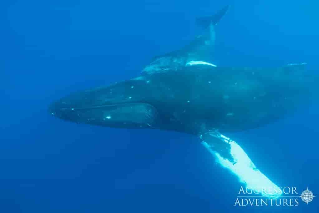 Thumbnail 11 Thumbnail 11