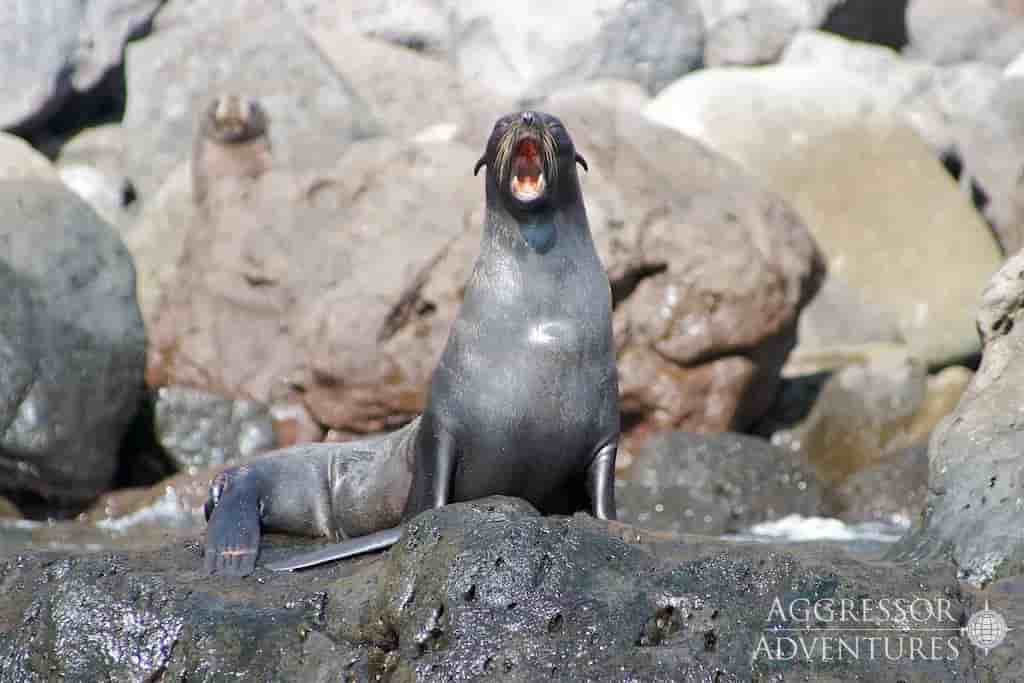 Thumbnail 12 Thumbnail 12