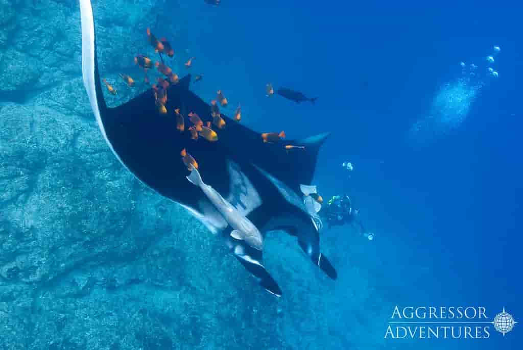 Thumbnail 13 Thumbnail 13