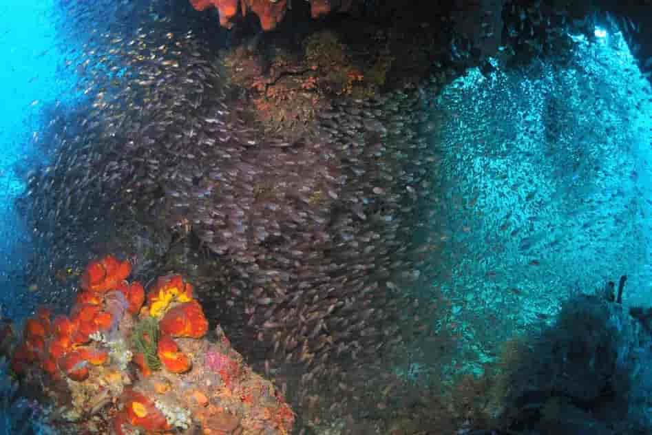 Thumbnail 7 Thumbnail 7