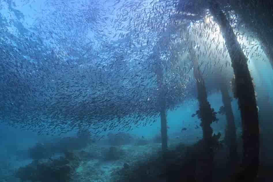 Thumbnail 8 Thumbnail 8