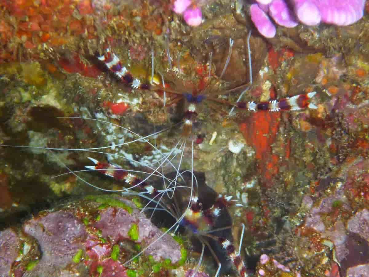 Thumbnail 11 Thumbnail 11