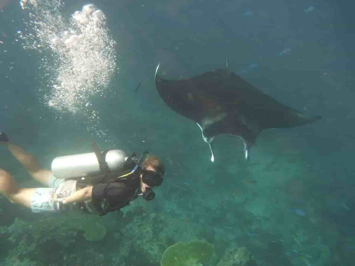 Thumbnail 12 Thumbnail 12