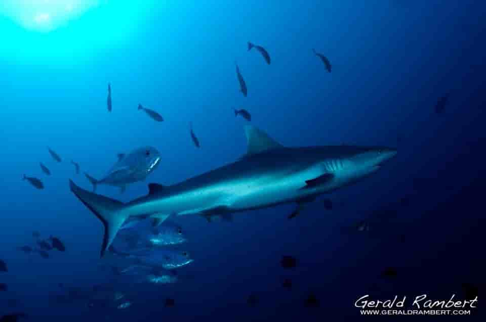 Thumbnail 2 Thumbnail 2