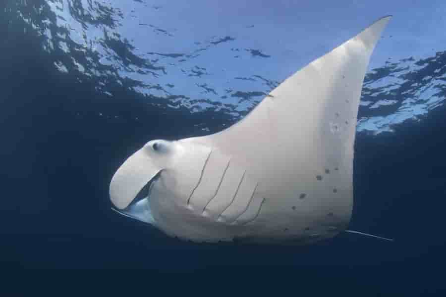 Thumbnail 4 Thumbnail 4